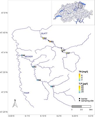 Cross-Ecosystem Linkages: Transfer of Polyunsaturated Fatty Acids From Streams to Riparian Spiders via Emergent Insects